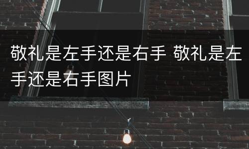 敬礼是左手还是右手 敬礼是左手还是右手图片