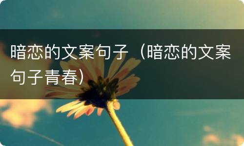 暗恋的文案句子（暗恋的文案句子青春）