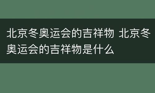 北京冬奥运会的吉祥物 北京冬奥运会的吉祥物是什么