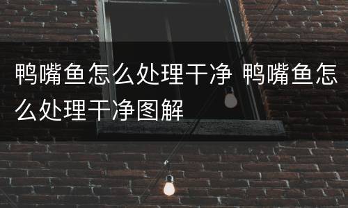 鸭嘴鱼怎么处理干净 鸭嘴鱼怎么处理干净图解