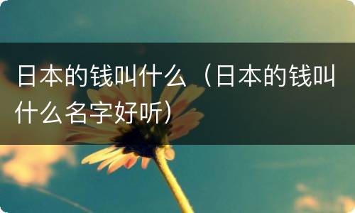 日本的钱叫什么（日本的钱叫什么名字好听）