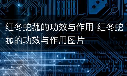 红冬蛇菰的功效与作用 红冬蛇菰的功效与作用图片
