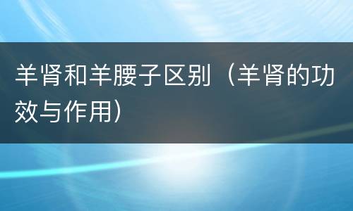 羊肾和羊腰子区别（羊肾的功效与作用）