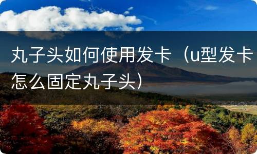 丸子头如何使用发卡（u型发卡怎么固定丸子头）