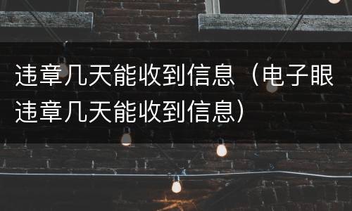 违章几天能收到信息（电子眼违章几天能收到信息）