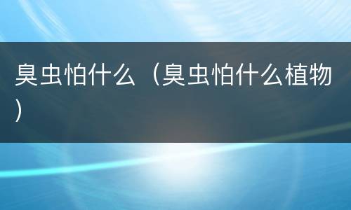 臭虫怕什么（臭虫怕什么植物）