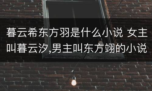 暮云希东方羽是什么小说 女主叫暮云汐,男主叫东方翊的小说叫什么名字