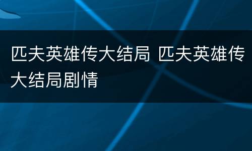 匹夫英雄传大结局 匹夫英雄传大结局剧情