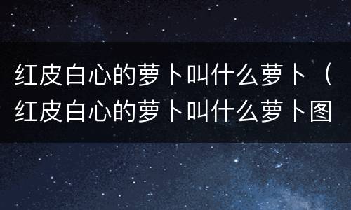 红皮白心的萝卜叫什么萝卜（红皮白心的萝卜叫什么萝卜图片）