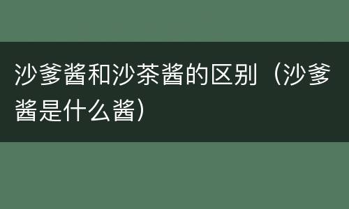 沙爹酱和沙茶酱的区别（沙爹酱是什么酱）