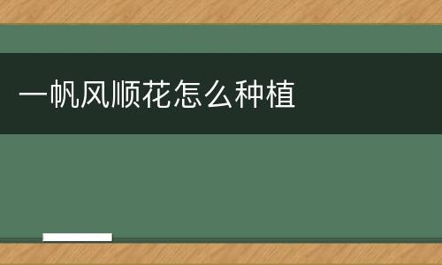 一帆风顺花怎么种植