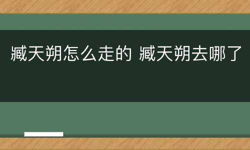 臧天朔怎么走的 臧天朔去哪了