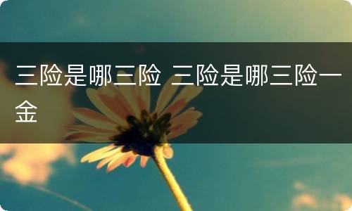 三险是哪三险 三险是哪三险一金