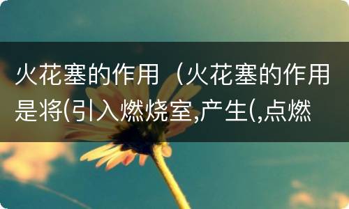 火花塞的作用（火花塞的作用是将(引入燃烧室,产生(,点燃(）