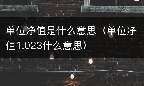 单位净值是什么意思（单位净值1.023什么意思）
