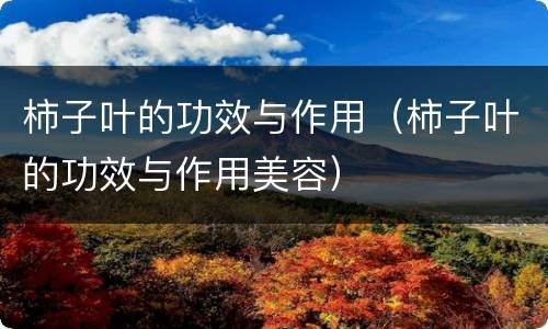 柿子叶的功效与作用（柿子叶的功效与作用美容）