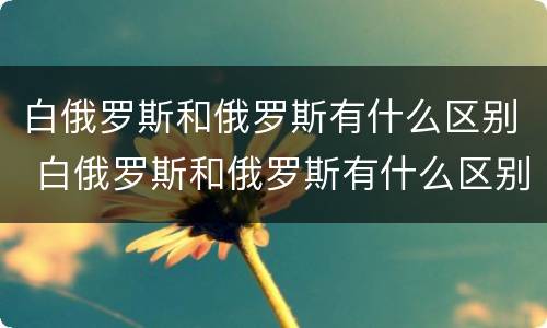 白俄罗斯和俄罗斯有什么区别 白俄罗斯和俄罗斯有什么区别地图