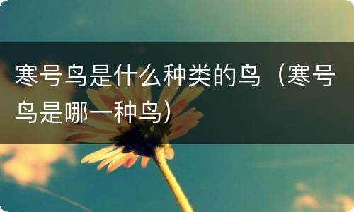 寒号鸟是什么种类的鸟（寒号鸟是哪一种鸟）