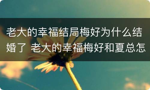 老大的幸福结局梅好为什么结婚了 老大的幸福梅好和夏总怎么认识的