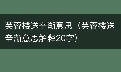 芙蓉楼送辛渐意思（芙蓉楼送辛渐意思解释20字）