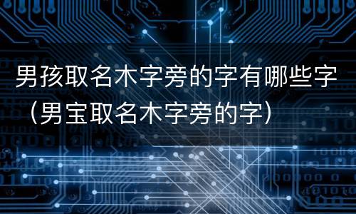 男孩取名木字旁的字有哪些字（男宝取名木字旁的字）