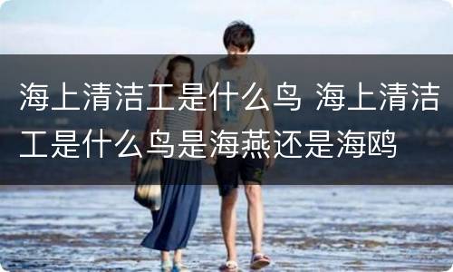 海上清洁工是什么鸟 海上清洁工是什么鸟是海燕还是海鸥