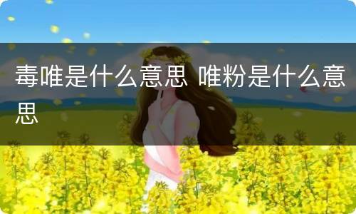 毒唯是什么意思 唯粉是什么意思