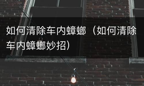 如何清除车内蟑螂（如何清除车内蟑螂妙招）