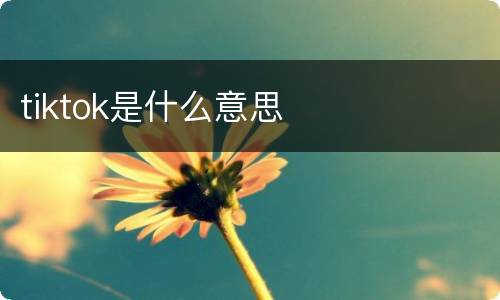 tiktok是什么意思