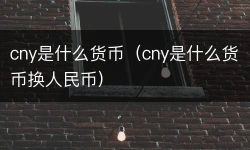 cny是什么货币（cny是什么货币换人民币）