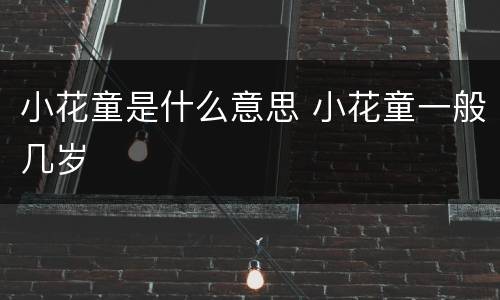 小花童是什么意思 小花童一般几岁