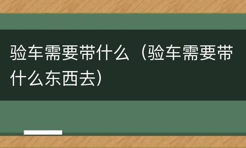 验车需要带什么（验车需要带什么东西去）