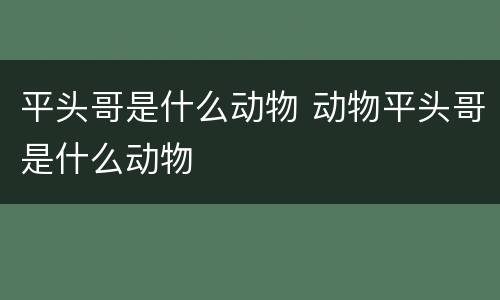 平头哥是什么动物 动物平头哥是什么动物