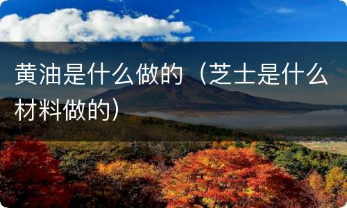 黄油是什么做的（芝士是什么材料做的）