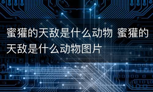 蜜獾的天敌是什么动物 蜜獾的天敌是什么动物图片