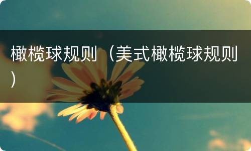 橄榄球规则（美式橄榄球规则）