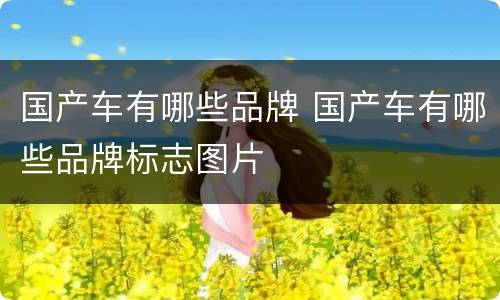国产车有哪些品牌 国产车有哪些品牌标志图片