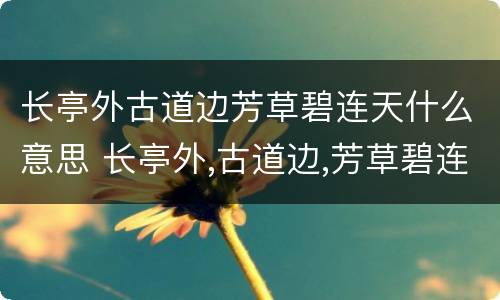 长亭外古道边芳草碧连天什么意思 长亭外,古道边,芳草碧连天是啥意思