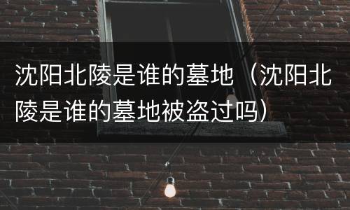 沈阳北陵是谁的墓地（沈阳北陵是谁的墓地被盗过吗）
