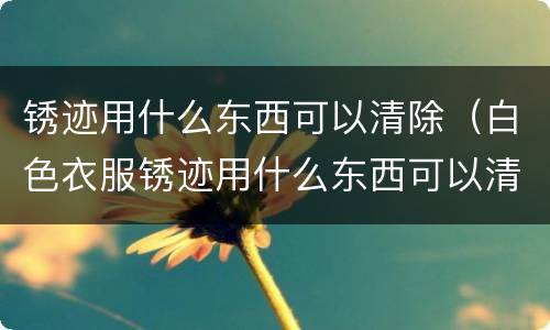 锈迹用什么东西可以清除（白色衣服锈迹用什么东西可以清除）