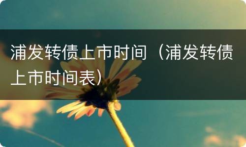 浦发转债上市时间（浦发转债上市时间表）