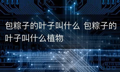 包粽子的叶子叫什么 包粽子的叶子叫什么植物