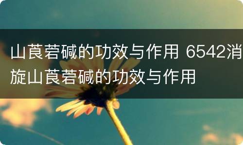 山莨菪碱的功效与作用 6542消旋山莨菪碱的功效与作用