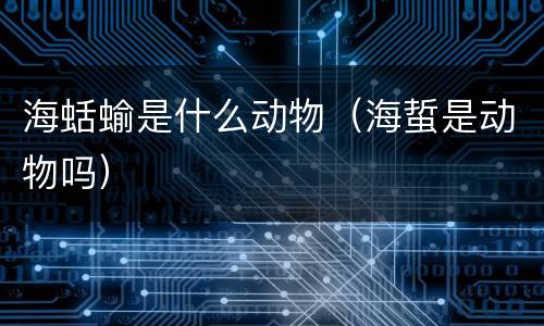 海蛞蝓是什么动物（海蜇是动物吗）