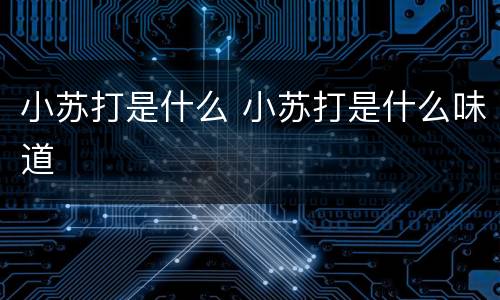 小苏打是什么 小苏打是什么味道