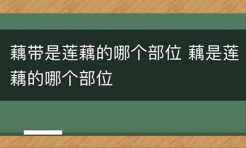 藕带是莲藕的哪个部位 藕是莲藕的哪个部位