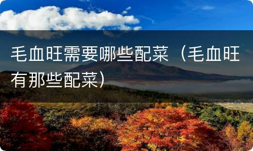 毛血旺需要哪些配菜（毛血旺有那些配菜）