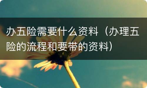 办五险需要什么资料（办理五险的流程和要带的资料）