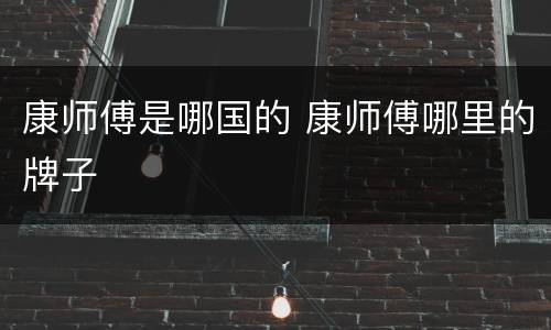 康师傅是哪国的 康师傅哪里的牌子