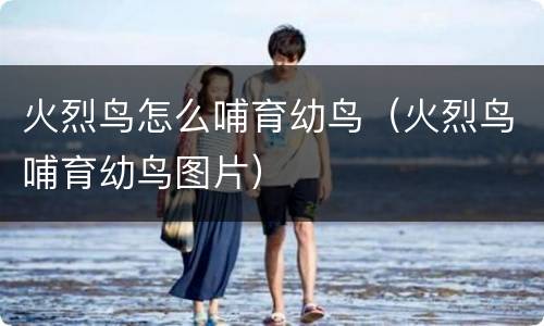 火烈鸟怎么哺育幼鸟（火烈鸟哺育幼鸟图片）